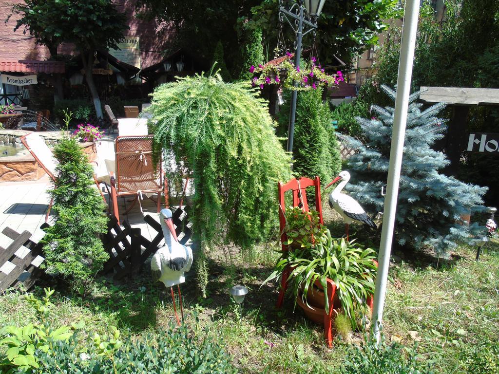צ'רנוביץ Knaus Apartments מראה חיצוני תמונה